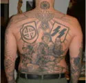 SS Insignia